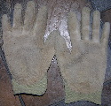 gloves